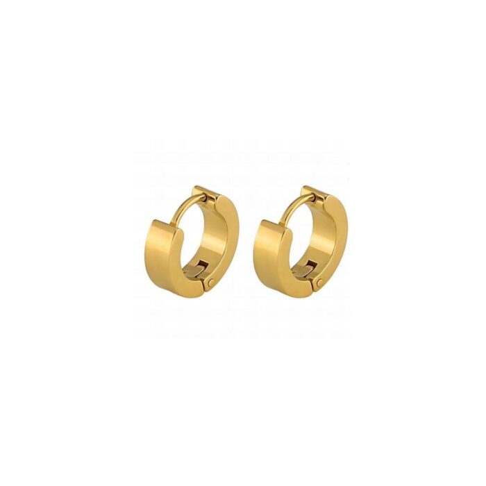 Earring18k gold plated 002
